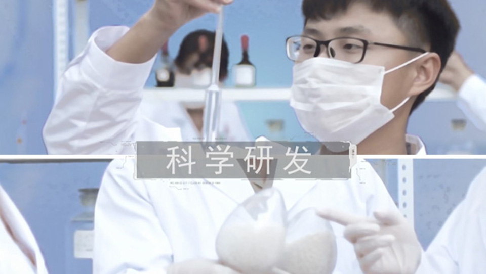 靜音托輥